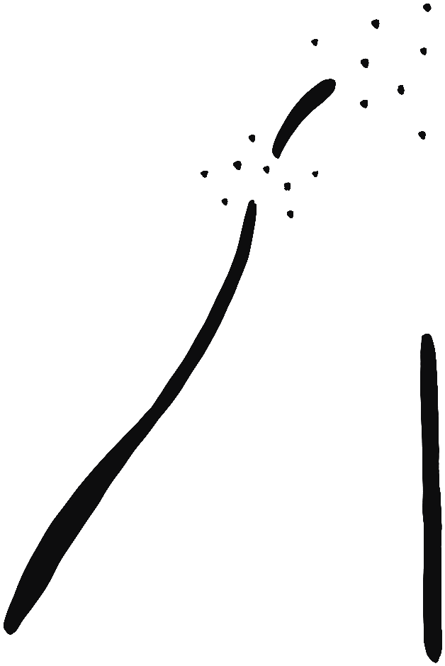 Image of the occurrence